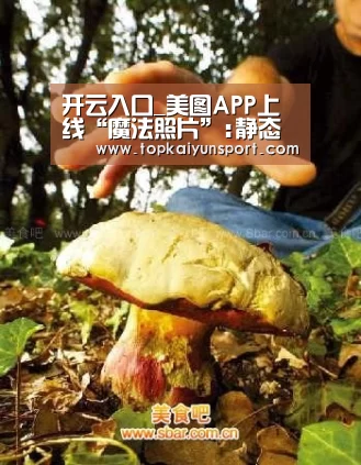 开云入口_美图APP上线“魔法照片”:静态秒变动态(图4) 开云下载