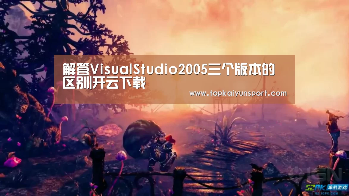 解答VisualStudio2005三个版本的区别|开云下载(图1) 开云入口