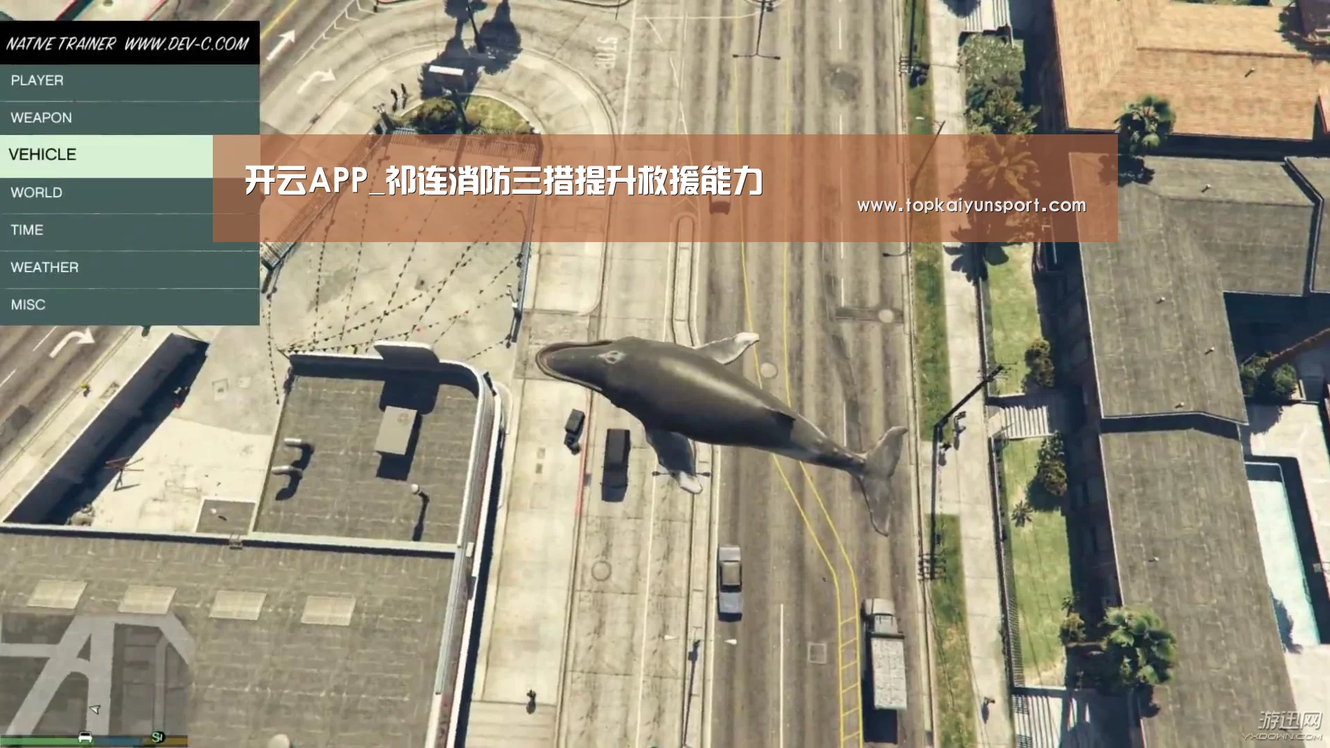 开云APP