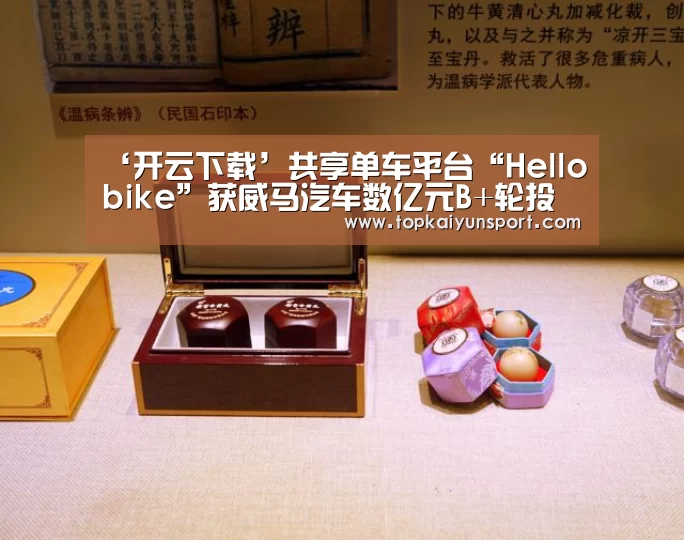 ‘开云下载’共享单车平台“Hellobike”获威马汽车数亿元B+轮投资(图3) 开云入口