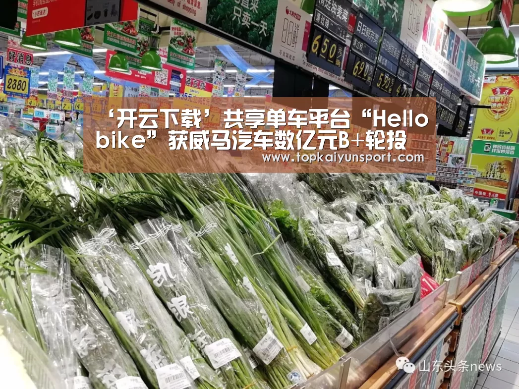 ‘开云下载’共享单车平台“Hellobike”获威马汽车数亿元B+轮投资(图2) 开云下载