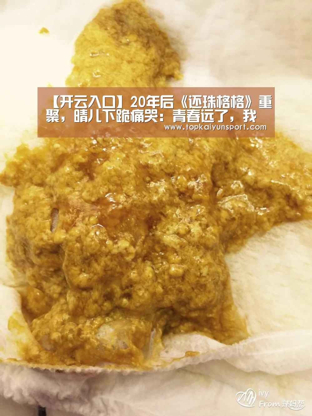 【开云入口】20年后《还珠格格》重聚,晴儿下跪痛哭:青春远了,我们哭了(图2) 开云APP