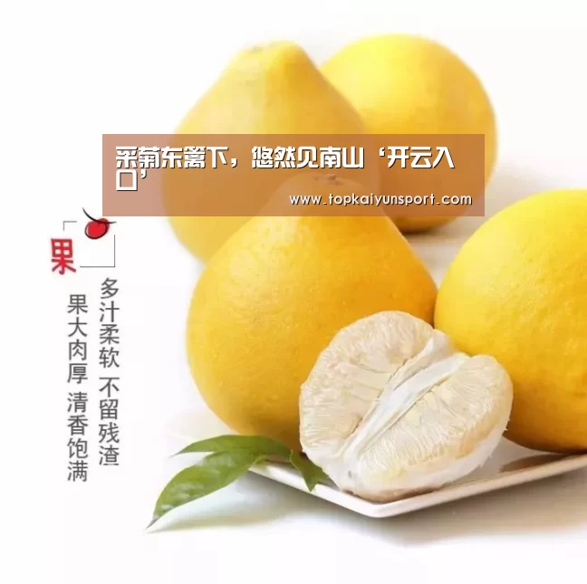 开云入口
