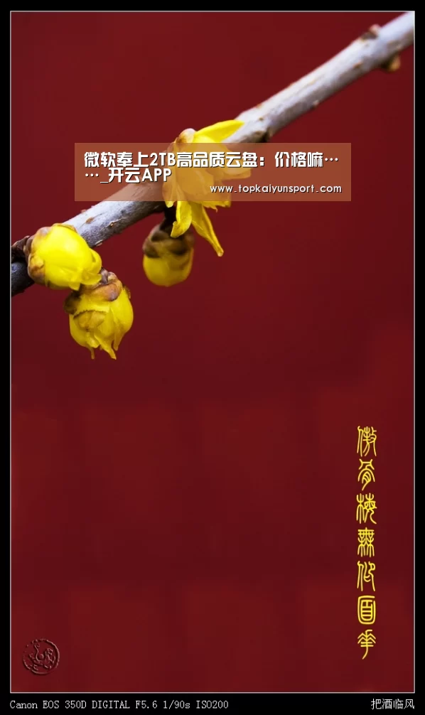 微软奉上2TB高品质云盘:价格嘛……_开云APP(图1) 开云入口