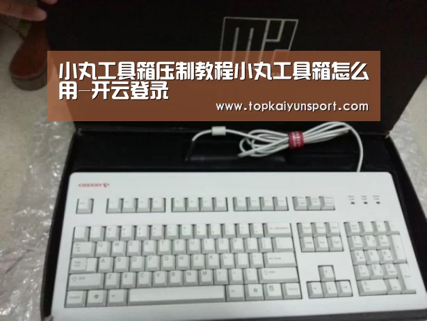 小丸工具箱压制教程小丸工具箱怎么用-开云登录(图1) 开云APP