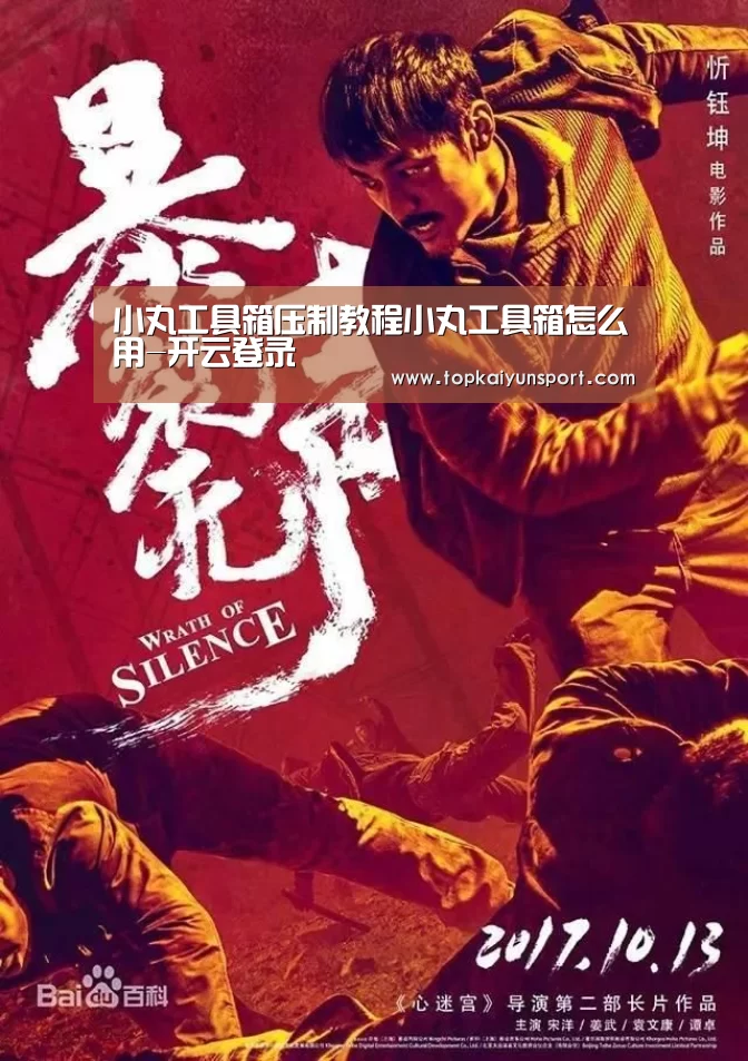 小丸工具箱压制教程小丸工具箱怎么用-开云登录(图2) 开云APP