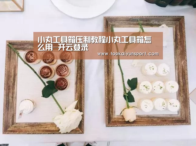小丸工具箱压制教程小丸工具箱怎么用-开云登录(图3) 开云APP
