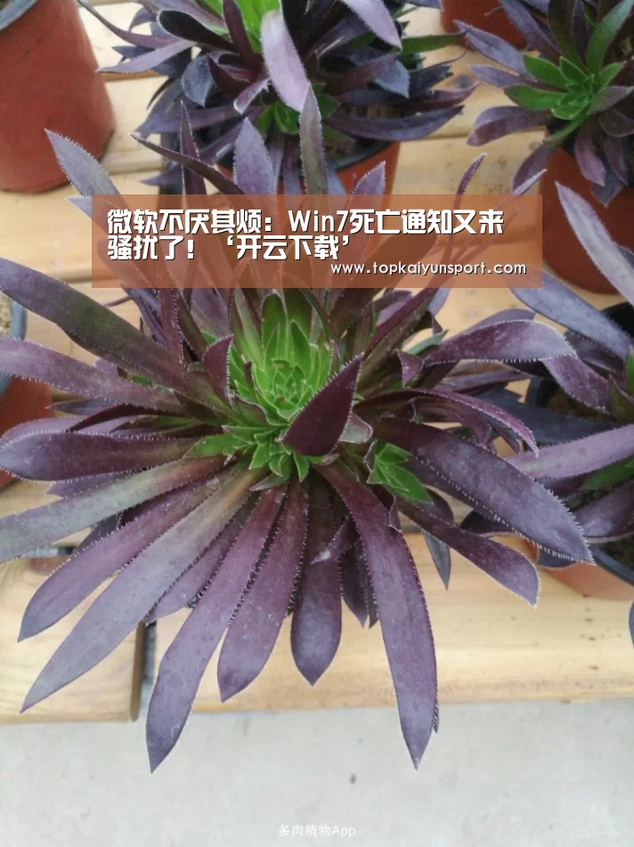 微软不厌其烦:Win7死亡通知又来骚扰了!‘开云下载’(图3) 开云下载