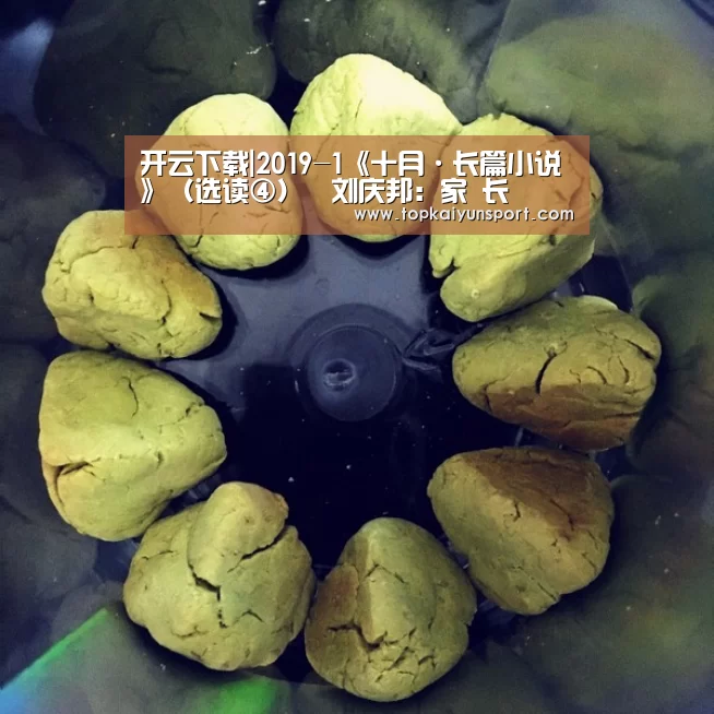 开云下载|2019-1《十月·长篇小说》(选读④)︱刘庆邦:家 长(图2) 开云入口